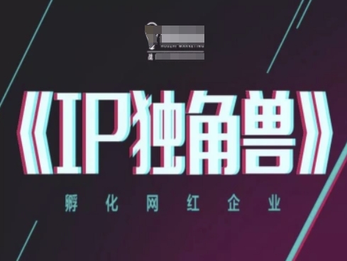 IP独角兽,孵化网红企业,ip教程-风淘社