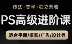 PS高级后期进阶课(技法+美学+独立营收),适合平面摄影广告设计等-风淘社