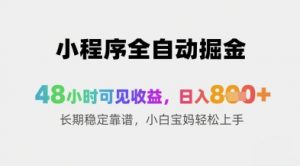 小程序全自动掘金,48小时可见收益,日入8张+长期稳定靠谱,小白宝妈轻松上手【揭秘】-风淘社