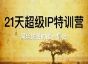 21天超级IP特训营,屌丝逆袭的唯一机会-风淘社