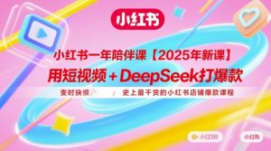 小红书一年陪伴课【2025年新课】，用短视频+deepSeek打爆款，史上最干货的小红书店铺爆款课程-风淘社