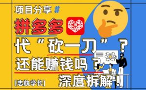 【2025最新】拼多多代坎助力项目深度拆解：还能挣钱吗?全流程玩法-风淘社