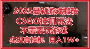 2025最新游戏搬砖,CSGO挂G,不需要玩游戏,实现真挂G,月入1W+【揭秘】-风淘社
