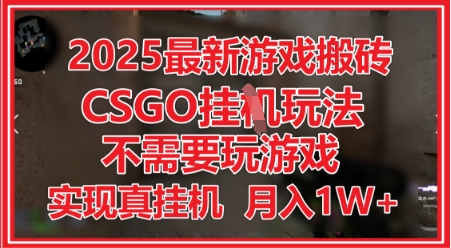 2025最新游戏搬砖,CSGO挂G,不需要玩游戏,实现真挂G,月入1W+【揭秘】-风淘社
