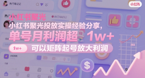 小红书聚光投放实操经验分享，单号月利润超1w+，可以矩阵起号放大利润-风淘社