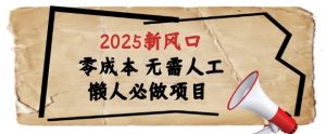 2025新风口,懒人必做项目,浏览器全自动掘金【揭秘】-风淘社
