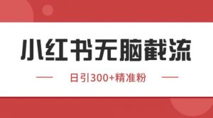 小红书只要你有同行就能获客，独家野路子获客玩法，暴力截流【揭秘】-风淘社