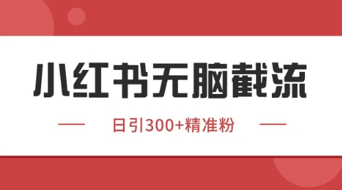 小红书只要你有同行就能获客,独家野路子获客玩法,暴力截流【揭秘】-风淘社