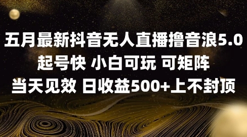 2025五月最新无人直播撸音浪单日产出5张+实操教程【揭秘】-风淘社
