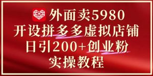 外面卖5980开设拼多多虚拟店铺:单日引流200+创业付费粉实战教程-风淘社