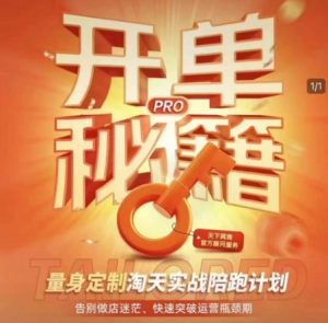 淘宝开单秘籍PRO,量身定制淘天实战陪跑计划,告别做店迷茫、快速突破运营瓶颈期(更新)-风淘社