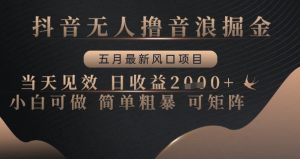 抖音无人撸音浪掘金,五月最新风口项目,当天见效,日收益多张,小白可做简单粗暴可矩阵【揭秘】-风淘社