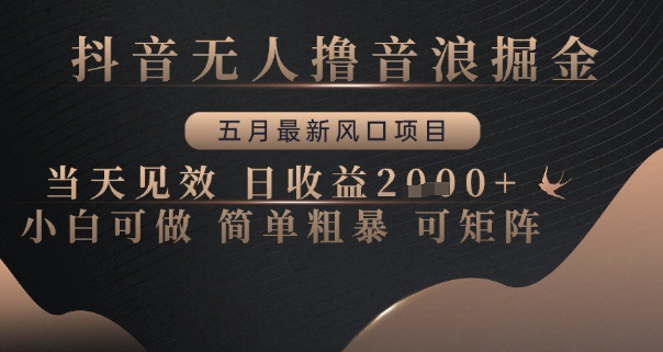 抖音无人撸音浪掘金,五月最新风口项目,当天见效,日收益多张,小白可做简单粗暴可矩阵【揭秘】-风淘社