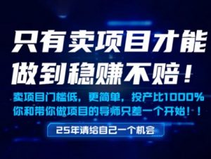只有卖项目才能做到稳挣不赔，门槛低，更简单，你也可以年入百个W【揭秘】-风淘社