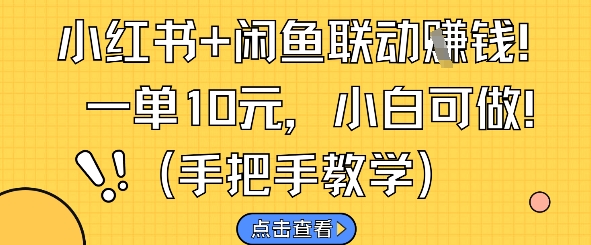 小红书+闲鱼联动挣钱，一单10元，小白可做-风淘社
