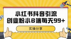 小红书抖音创业粉,小B端粉自热,日引99+的一个玩法【揭秘】-风淘社
