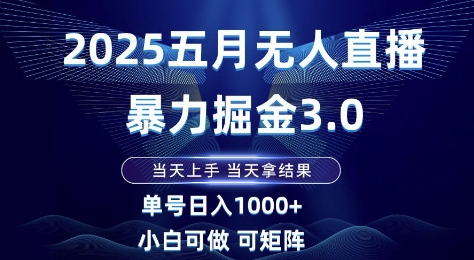 2025五月无人直播暴力掘金3.0,当天上手,当天拿结果,单号日入1k+小白可做可矩阵【揭秘】-风淘社