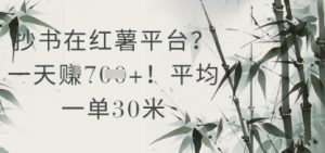抄书在小红薯平台？平均一单30米，一天收益几张！-风淘社