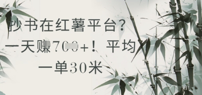 抄书在小红薯平台？平均一单30米，一天收益几张！-风淘社