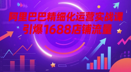 阿里巴巴精细化运营实战课,引爆1688店铺流量-风淘社
