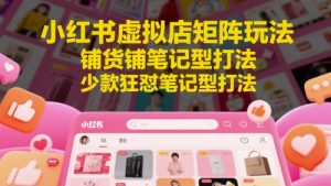 小红书虚拟店矩阵玩法，铺货铺笔记型打法，少款狂怼笔记型打法-风淘社