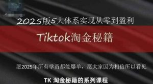 TikTok跨境2025淘金秘籍,2025TikTok从0到盈利变现-风淘社