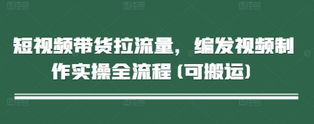 短视频带货拉流量,编发视频制作实操全流程(可搬运)-风淘社