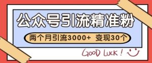 公众号精准粉引流玩法，2个月3000+精准粉，变现30个W【揭秘】-风淘社