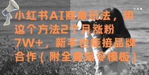 小红书AI商单玩法,用这个方法2个月涨粉7W+,新手也能接品牌合作(附全套指令模板)-风淘社