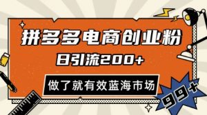 拼多多引流电商创业粉,日引200+,可矩阵放大,做了就有效【揭秘】-风淘社
