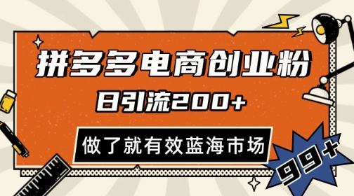 拼多多引流电商创业粉,日引200+,可矩阵放大,做了就有效【揭秘】-风淘社