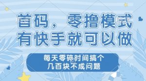 首码,零撸模式,有快手就可以做,每天零碎时间搞个几张不成问题【揭秘】-风淘社