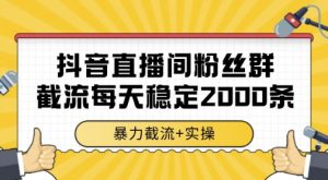 抖音直播间粉丝群暴力截流,一台电脑每天稳定2000条数据,暴力截流+实操 【揭秘】-风淘社