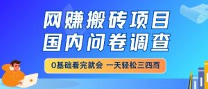 网创搬砖项目，国内问卷调查，小白轻松上手，一天三四张的也不难，干就完了【揭秘】-风淘社
