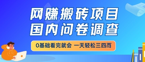 网创搬砖项目，国内问卷调查，小白轻松上手，一天三四张的也不难，干就完了【揭秘】-风淘社