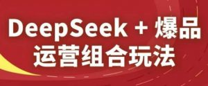 DeepSeek+爆品运营组合玩法，2025淘系精品课-风淘社