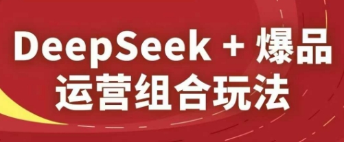 DeepSeek+爆品运营组合玩法,2025淘系精品课-风淘社