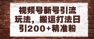 视频号新号引流玩法，搬运打法日引200+精准粉，可矩阵放大【揭秘】-风淘社