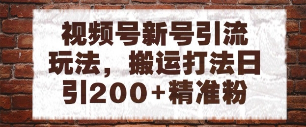 视频号新号引流玩法,搬运打法日引200+精准粉,可矩阵放大【揭秘】-风淘社