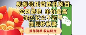 视频号托管挂G项目全网最稳,单价最高,绿色安全不封号提现秒到账,操作简单,收益稳定【揭秘】-风淘社