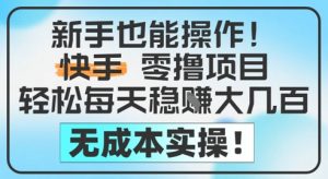 新手也能操作,快手零撸挣米,轻松每天挣2-5张,完全无成本-风淘社