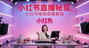小红书直播秘笈,小红书电商直播教程-风淘社