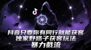 抖音只要你有同行就能获客，独家野路子获客玩法，暴力截流【揭秘】-风淘社
