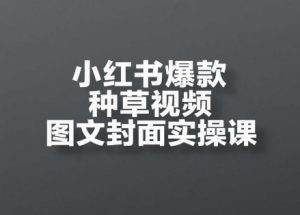 小红书爆款种草视频图文封面实操课，​开店、选品、引流、变现全流程-风淘社