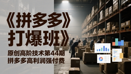 《拼多多打爆班》原创高阶技术第44期,拼多多高利润强付费-风淘社