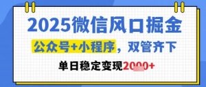 2025微信风口掘金，公众号+小程序双管齐下，单日稳定变现1k+【揭秘】-风淘社
