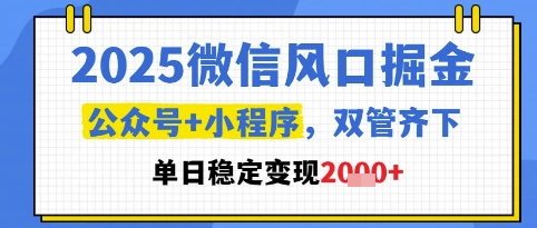 2025微信风口掘金,公众号+小程序双管齐下,单日稳定变现1k+【揭秘】-风淘社