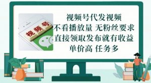 视频号代发视频,无需做视频,无需写文案,不看播放量,无粉丝要求,直接领取发布就有收益【揭秘】-风淘社