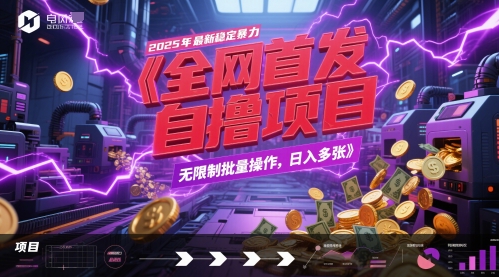 全网首发,2025年最新稳定暴力全自动自撸项目,无限制批量操作,日入多张【揭秘】-风淘社