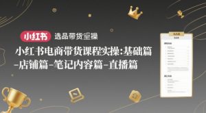 小红书电商带货课程实操:基础篇-选品篇-店铺篇-笔记内容篇-直播篇-风淘社